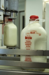 Kappers' Whole Milk - by Meredith Hart